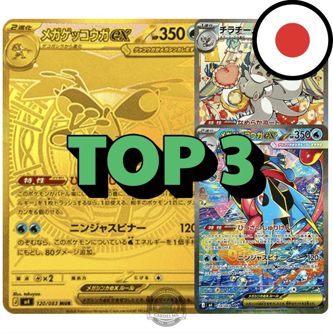 Pokemon Ninja Spinner (M4)